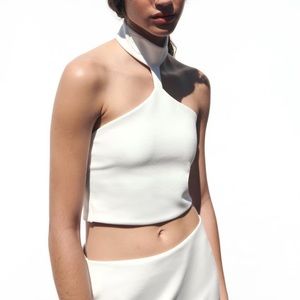 Zara Choker Crop Top